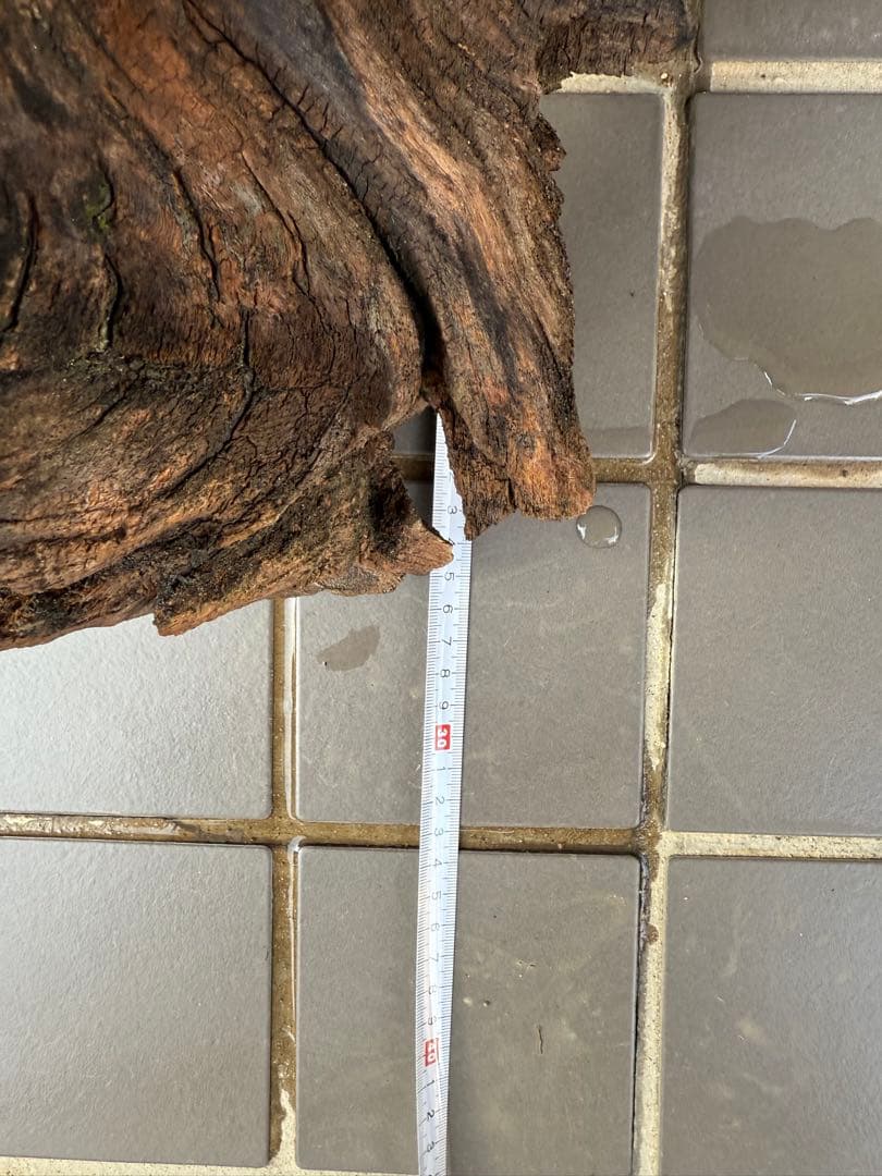 【値引交渉大歓迎】切り株 着生 ガーデニング 置物