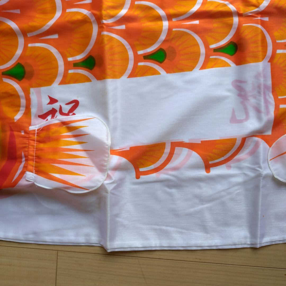 ピカピカ太郎鯉 ５m　♦　名入れ鯉付き七点セット　☆値下げ57.777円→