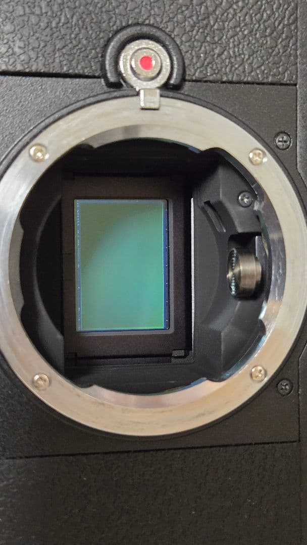 Epson R-D1S デジタルカメラ 本体