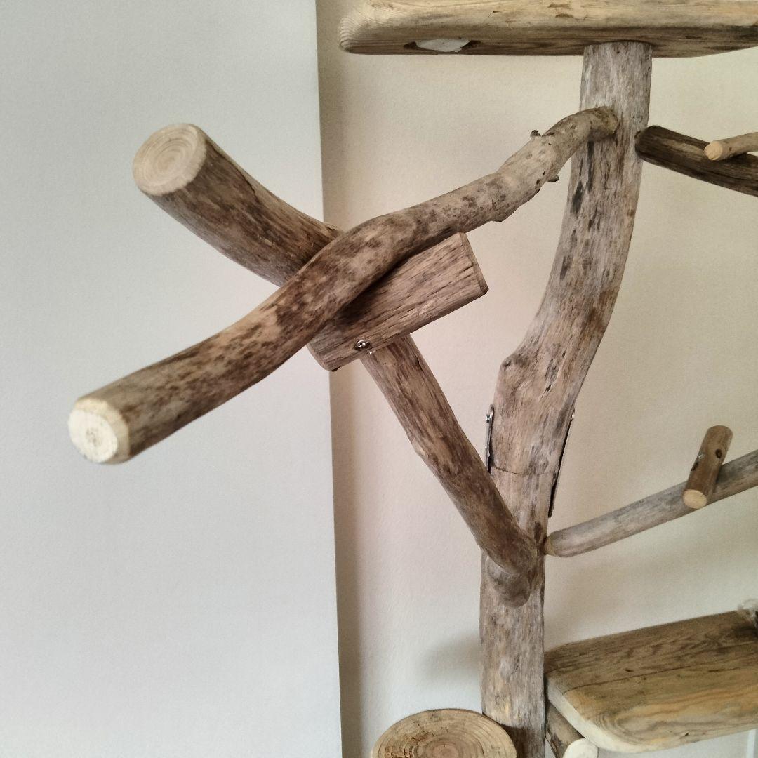 ことり バードアスレチックジム大型 天然木 自然木 流木 止まり木 インコ