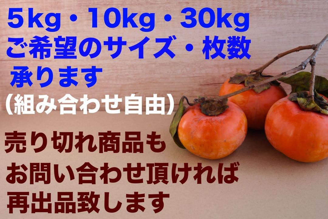 柿渋米袋：30kg x10袋 ５度塗り