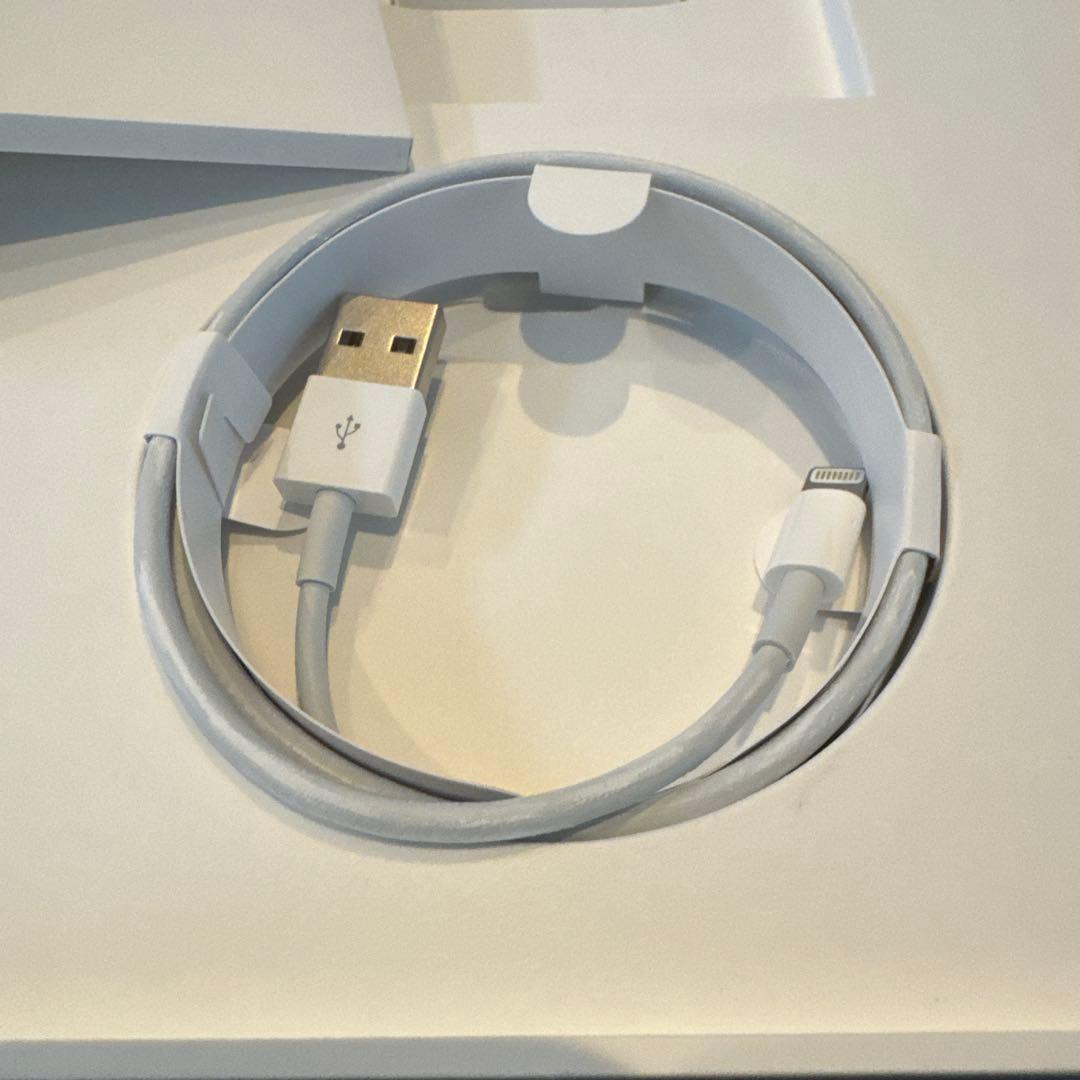 iPad本体 iPad (6th Generation) 128GB Wi-Fi gold