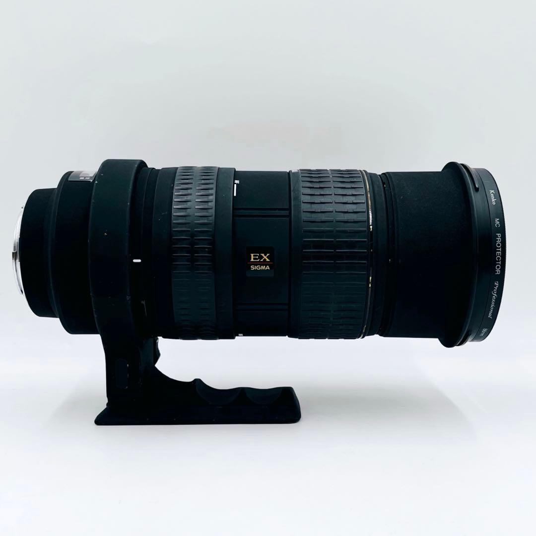 【良品】SIGMA APO 50-500mm F4-6.3 EX ソニー用