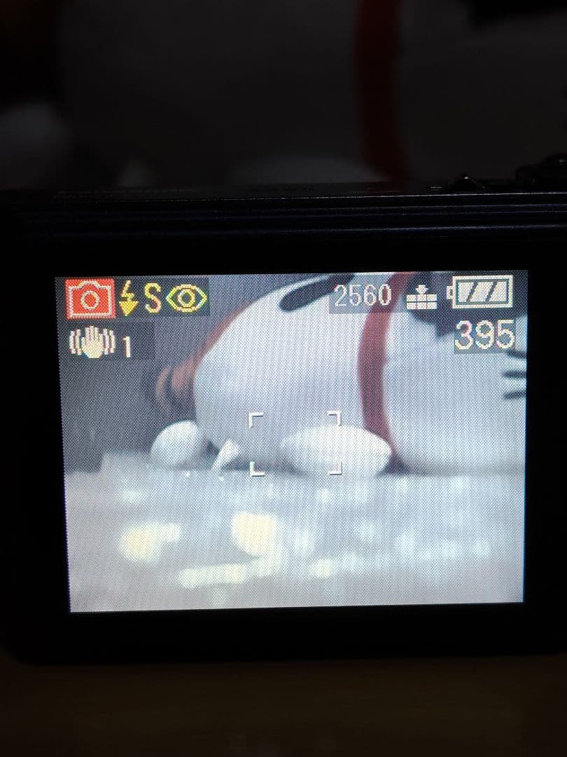 【動作確認済】パナソニックルミックス バッテリー２個SDカードオールドコンデジ