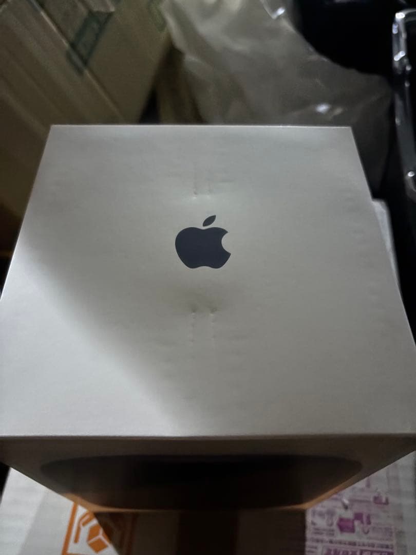 Apple Pod 新品未使用