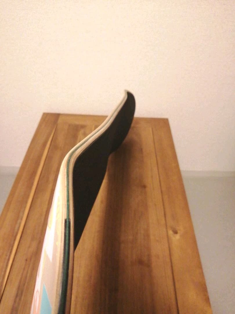 希少 レア✨ SANTA CRUZ サルバ Salbaモデル Tiger 8.6