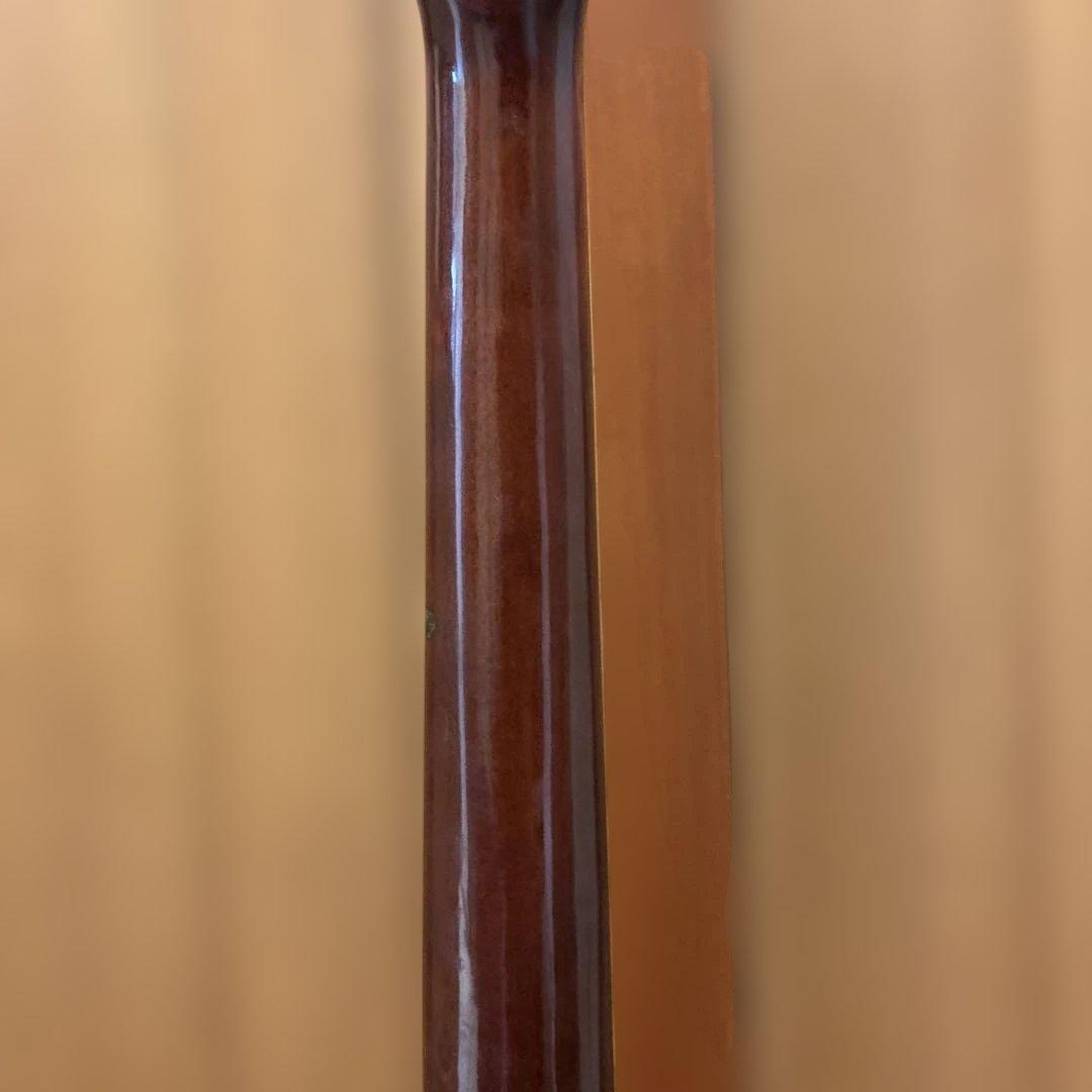 Ibanez エレアコ ソフトケース付 新品弦張替済