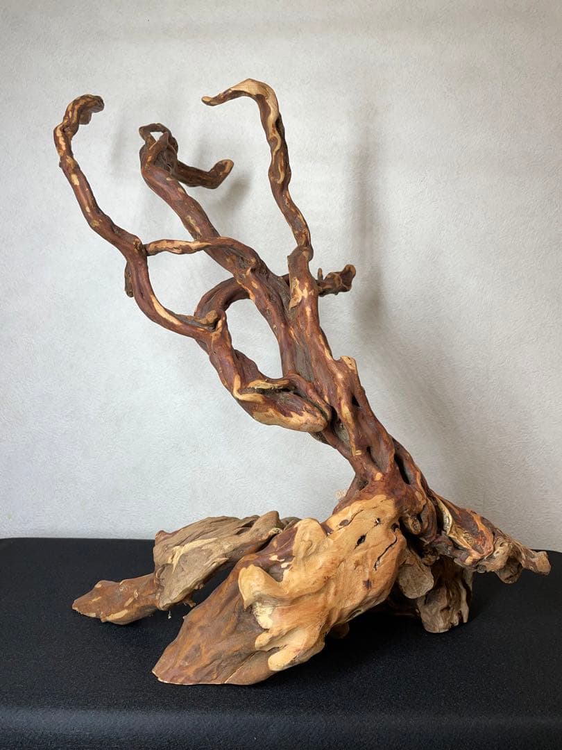 天然木　流木　オブジェ　インテリア　ZB03