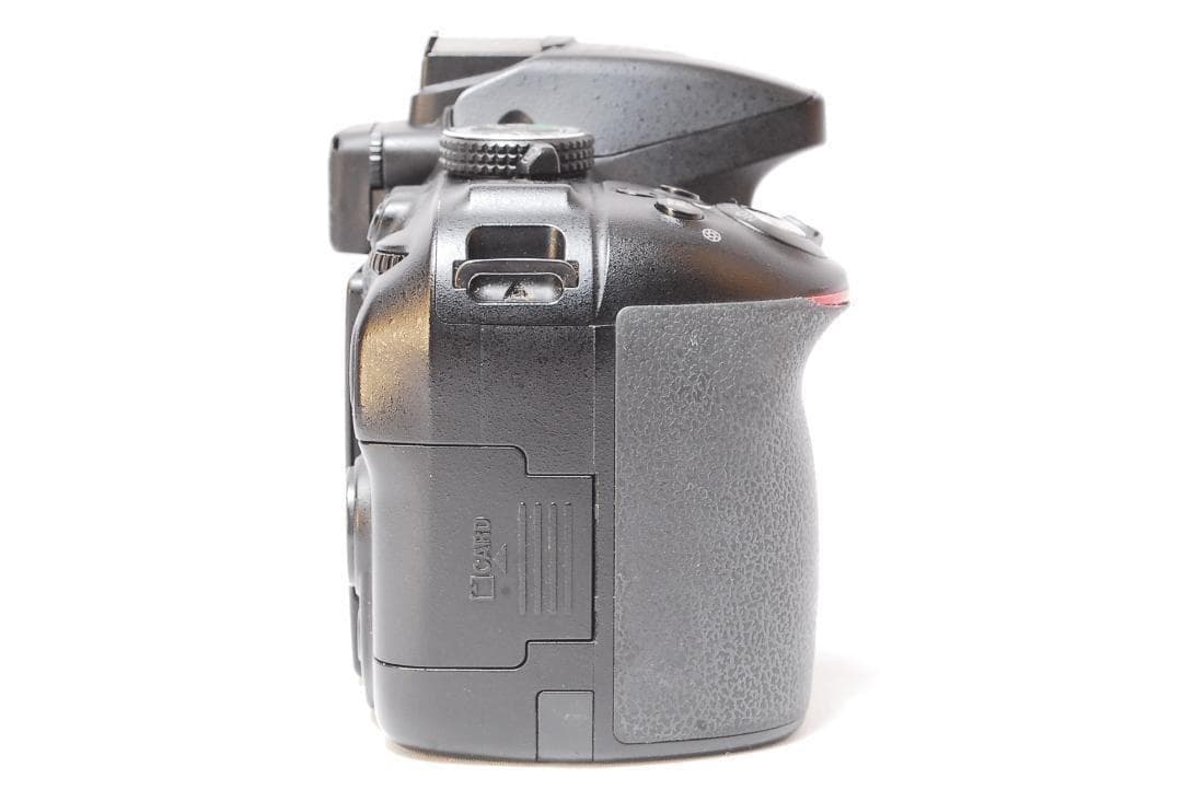 Wi-Fi対応 GPS搭載✨️実用美品✨Nikon D5300✨ダブルレンズ