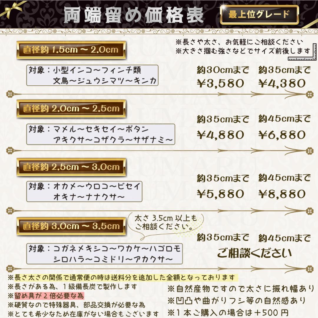 その他 Cocoa