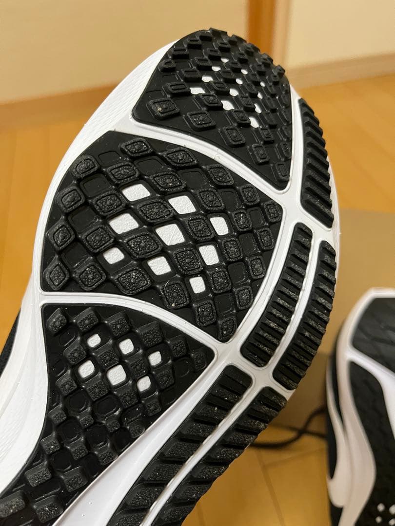 ナイキ　ペガサス40 26.5