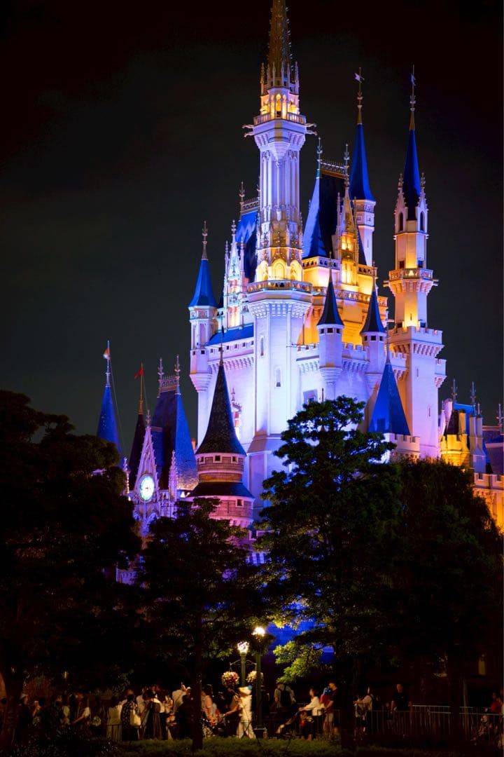 【美品】SIGMA 90mm F2.8 DG DN(Eマウント)