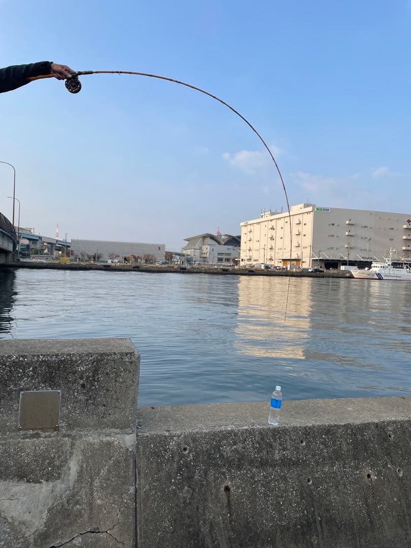 自作全竹軟調子和竿