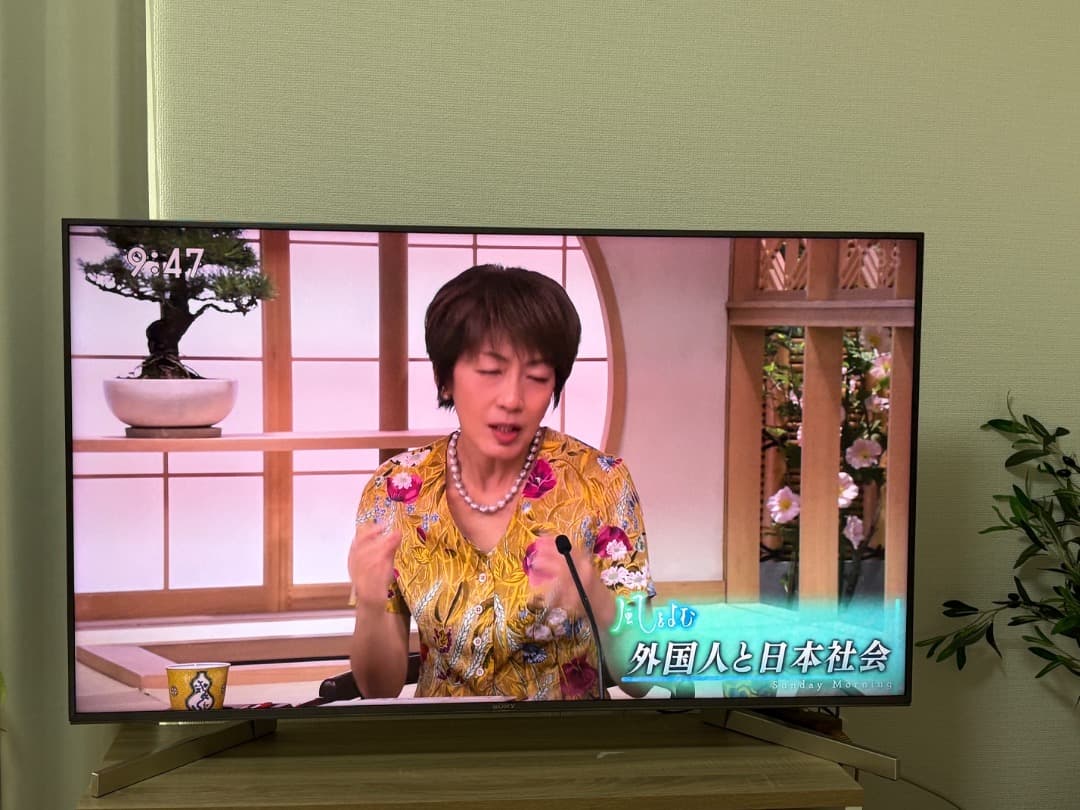 Sony Bravia 4K液晶テレビ KJ-49X9000F