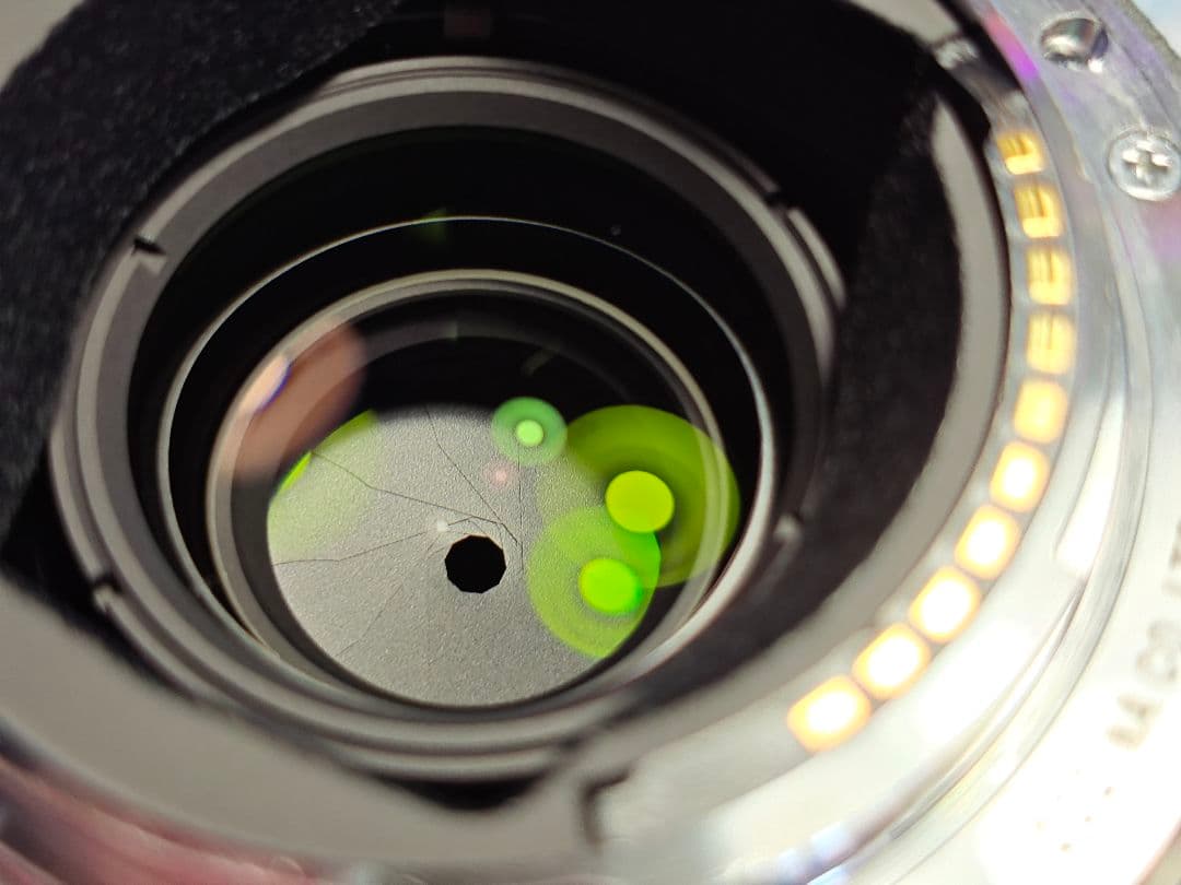 Voigtlander APO-LANTHAR 65mmF2 Eマウント