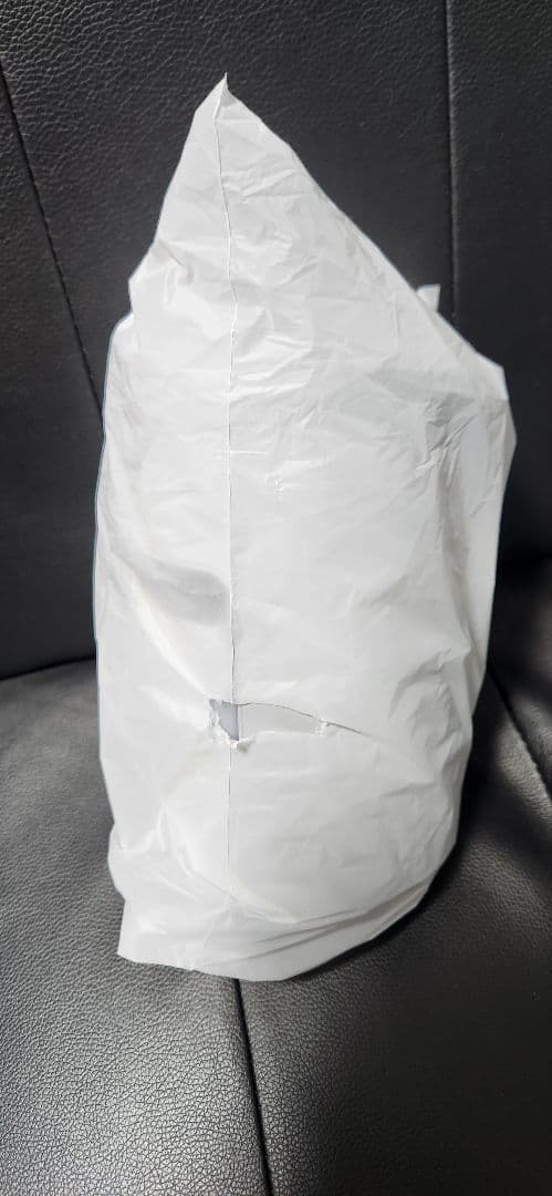 SALONIA ビュアブライト スチーマー グレー