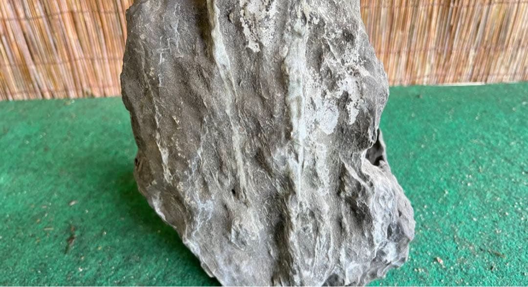 揖斐立ち石　龍岩石？