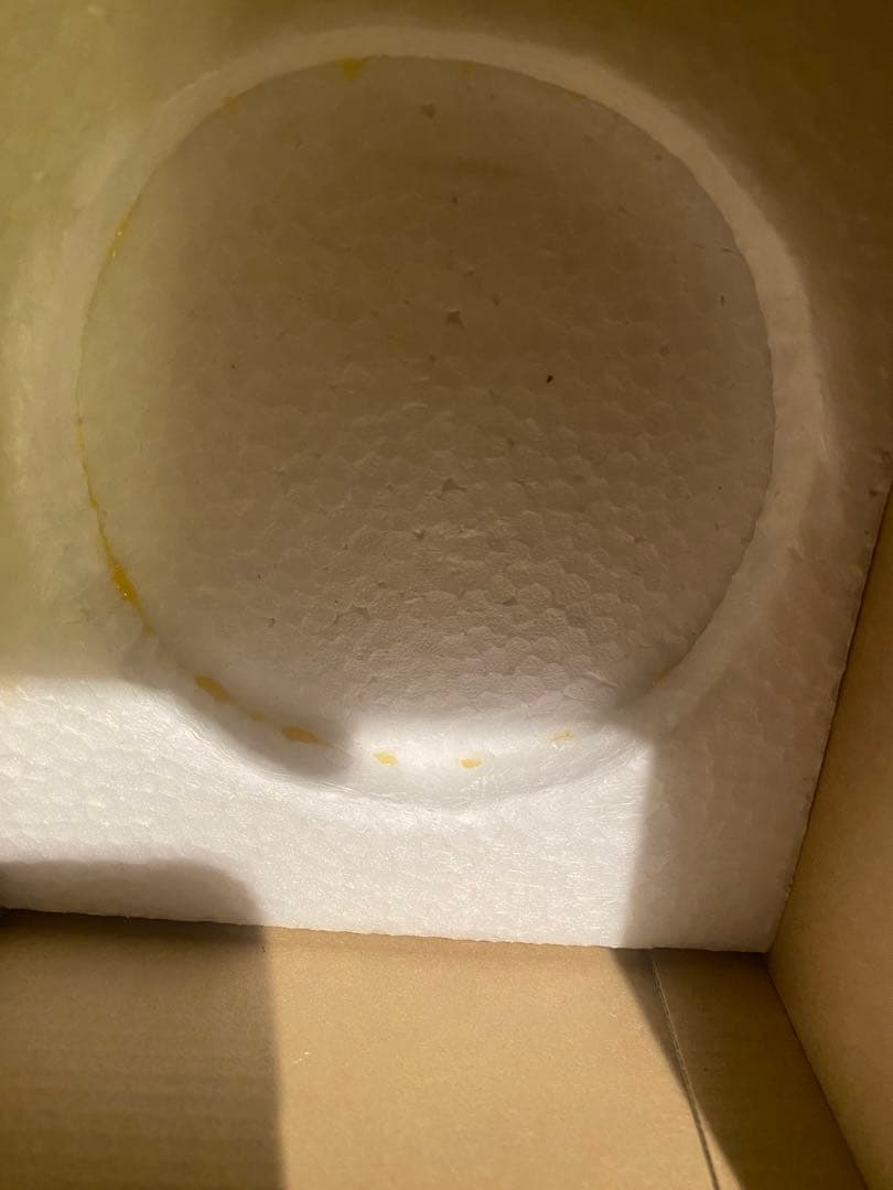 となりのトトロ　ネコバス　オルゴール　スタジオジブリ　置物　セキグチ