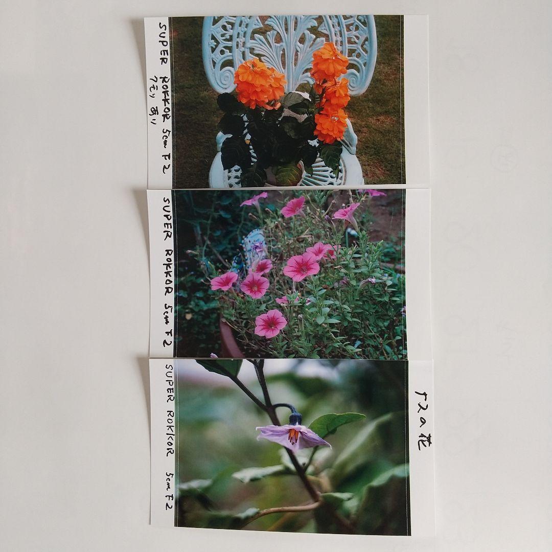 CHIYOKO SUPER ROKKOR-L 5cmF2 メタルフード付き