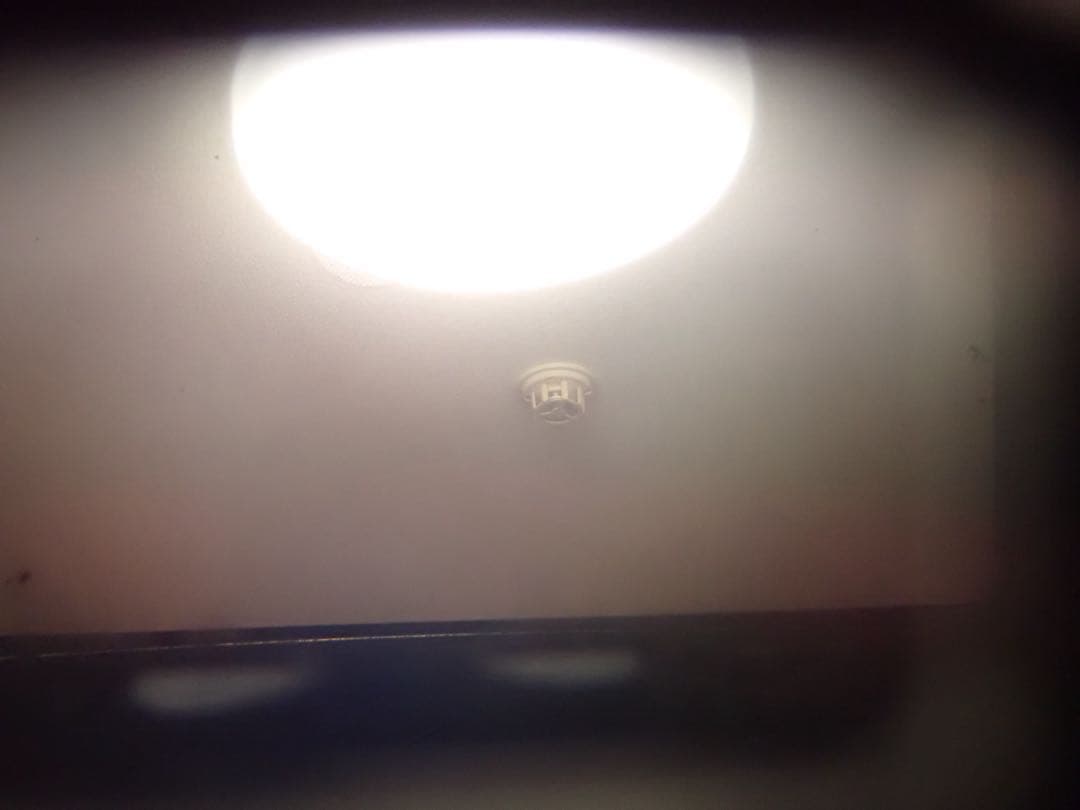 Olympus OM-1 と 50mm F1.4 動作確認済み 作例あり