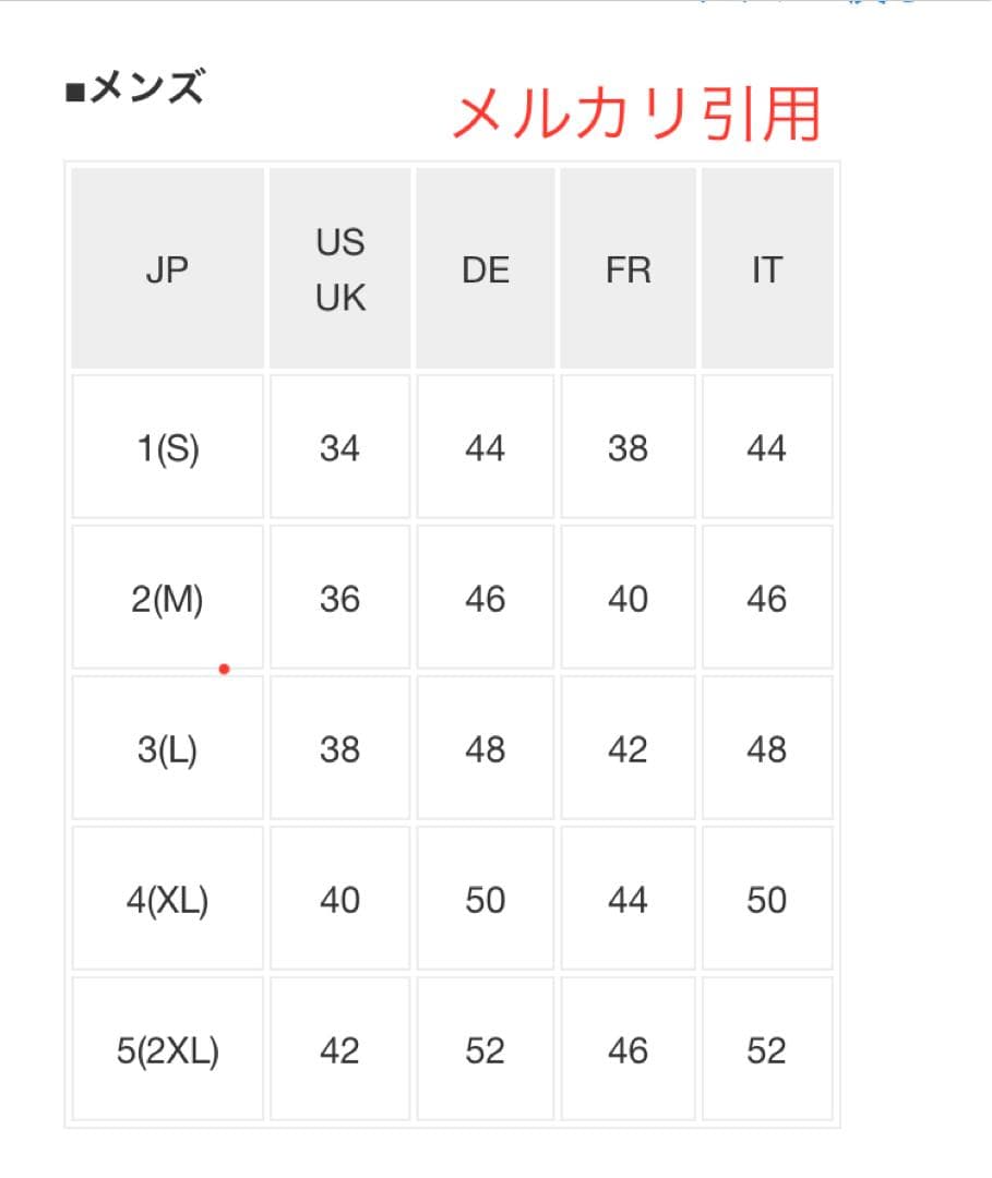 海外限定モデル Acne Studios ナイロン ロゴ コート 46 / M