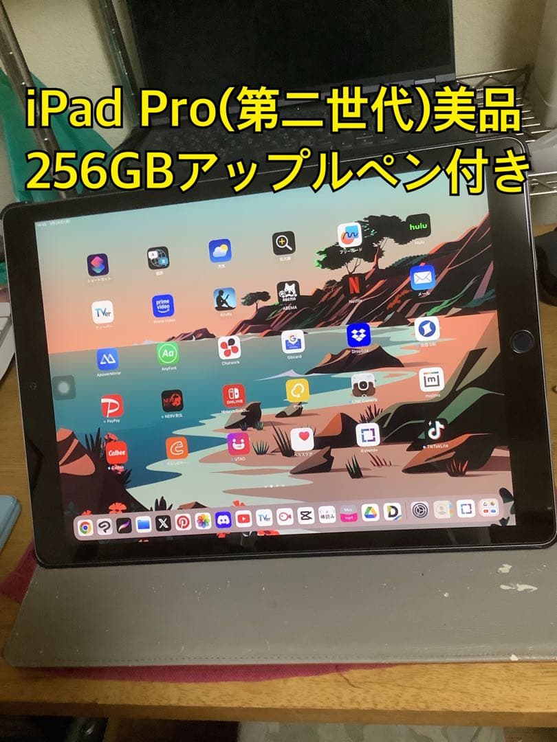 【超美品】iPad Pro 12.9 256GB（第二世代）