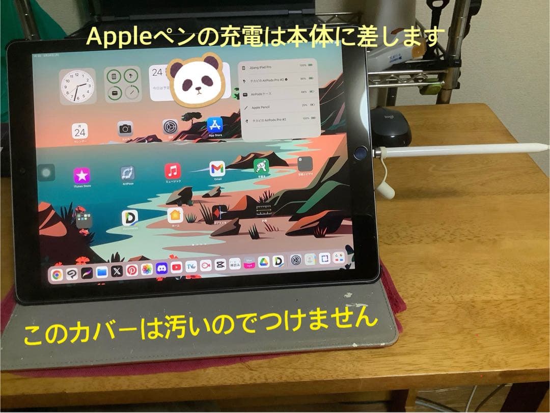 【超美品】iPad Pro 12.9 256GB（第二世代）