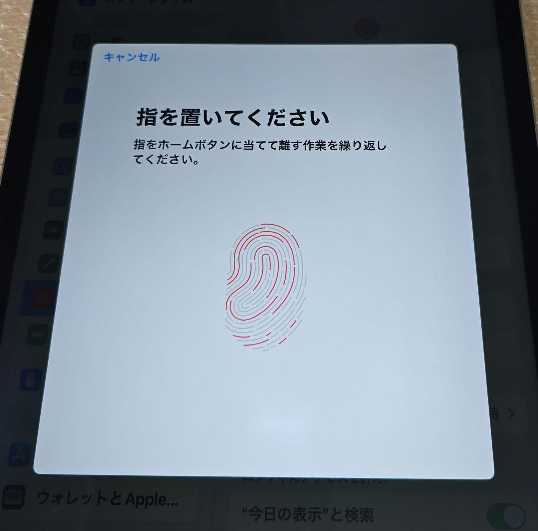 と*ん様 比較的美品■iPad Pro 12.9インチ■第1世代■バッテリー極良