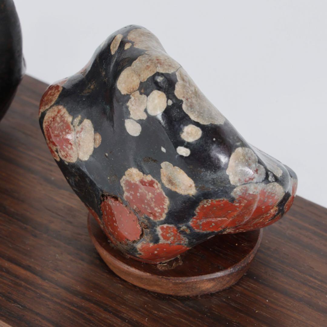 根尾川産 菊花石 二石組 台座 共箱付 鑑賞石 原石 天然石 盆石 飾石 美術品