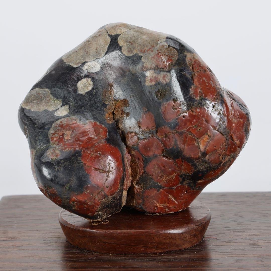 根尾川産 菊花石 二石組 台座 共箱付 鑑賞石 原石 天然石 盆石 飾石 美術品