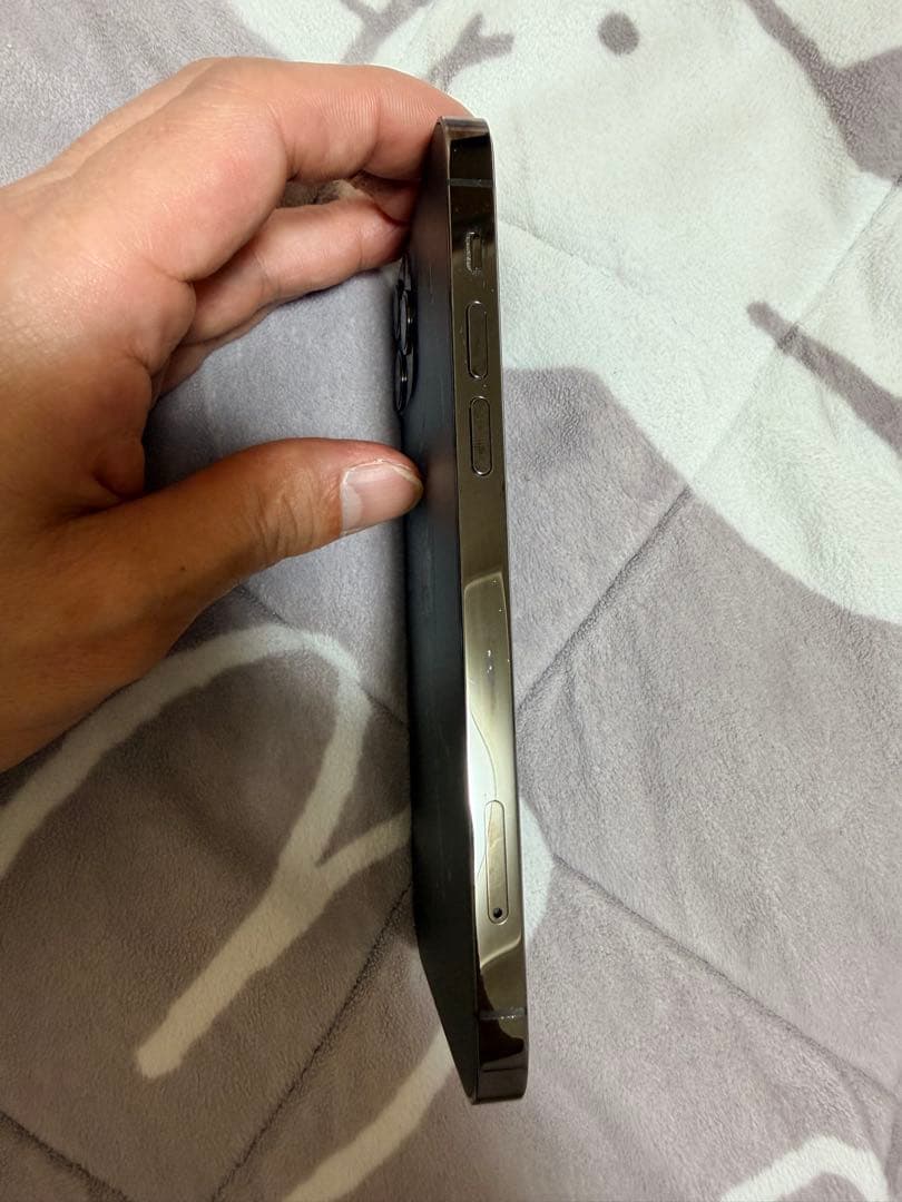 iPhone 12 Pro 256GB グラファイト　SIMフリー