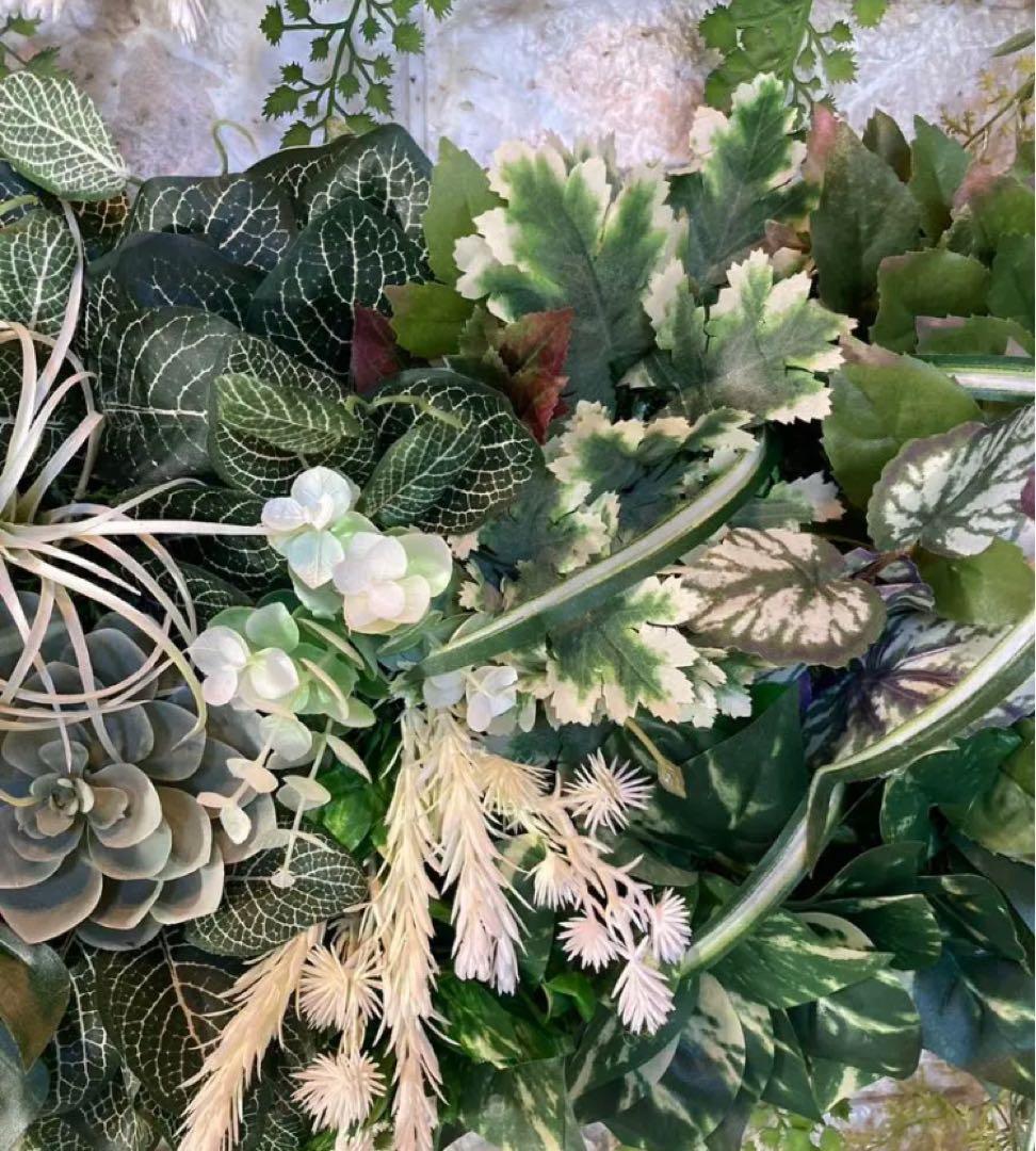 光触媒　人工観葉植物　ウォールグリーン　フェイクグリーン　壁掛け70208443