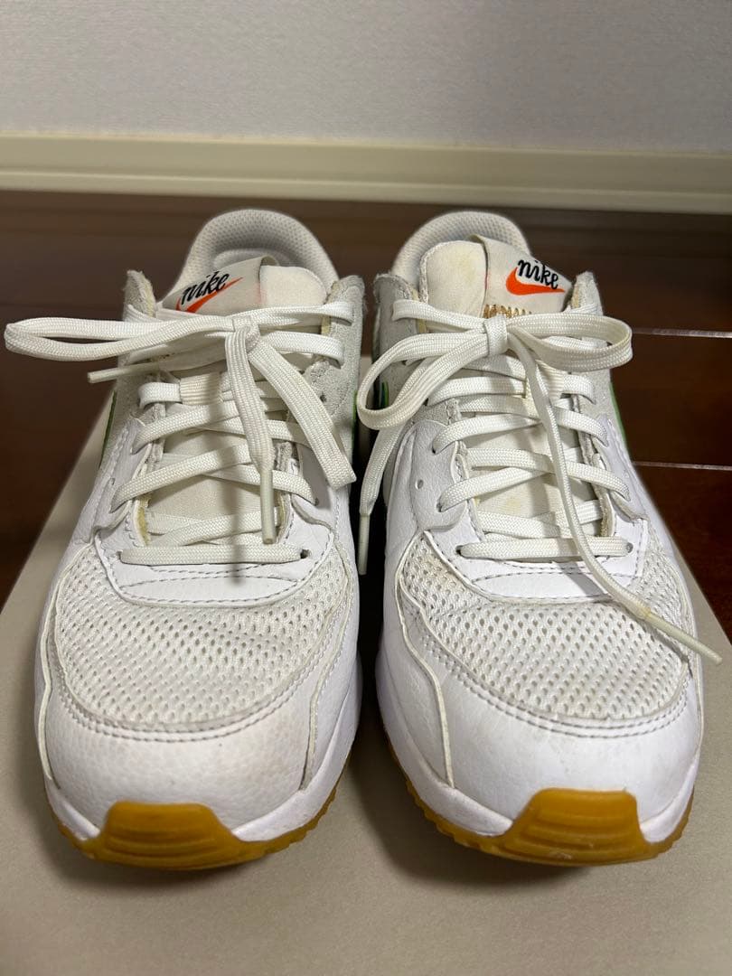 シューズ NIKE WMNS AIR MAX EXCEE DJ2003-100