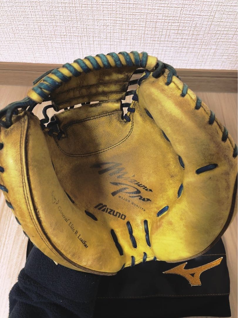 ミズノプロ　キャッチャーミット(お値下げ対応中)
