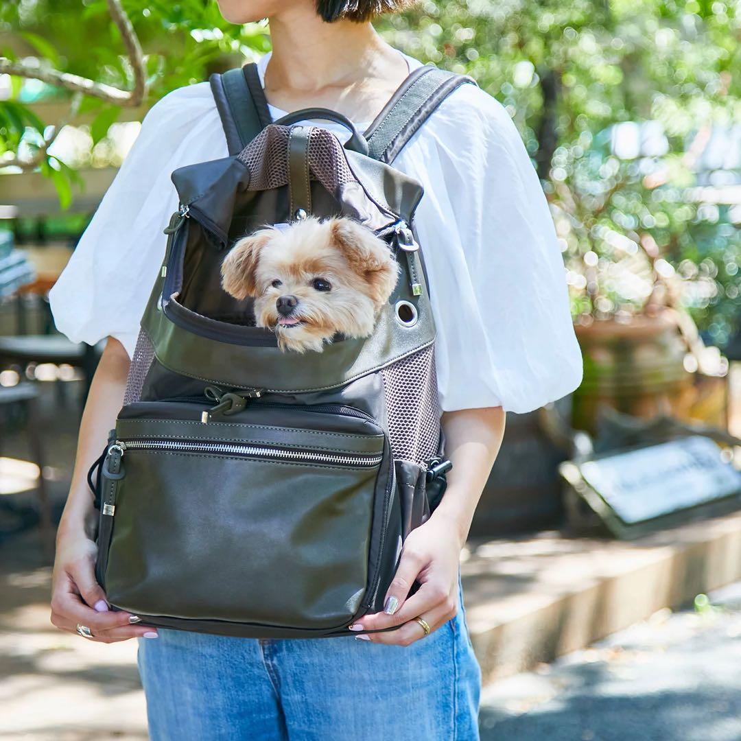 値下げ中　CITYDOG シティドッグ　バックパック　キャリー