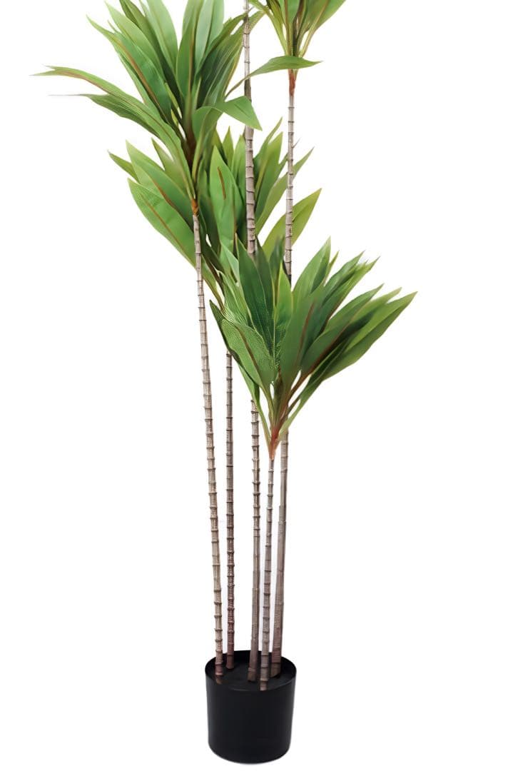 光触媒　人工観葉植物　ウォールグリーン　フェイクグリーン　ドラセナゴルジリネ15