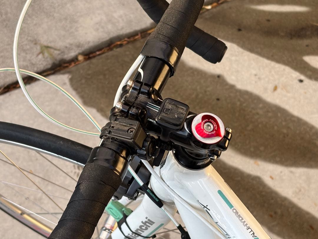 Bianchi ロードバイク ビアニローネ7 44サイズ