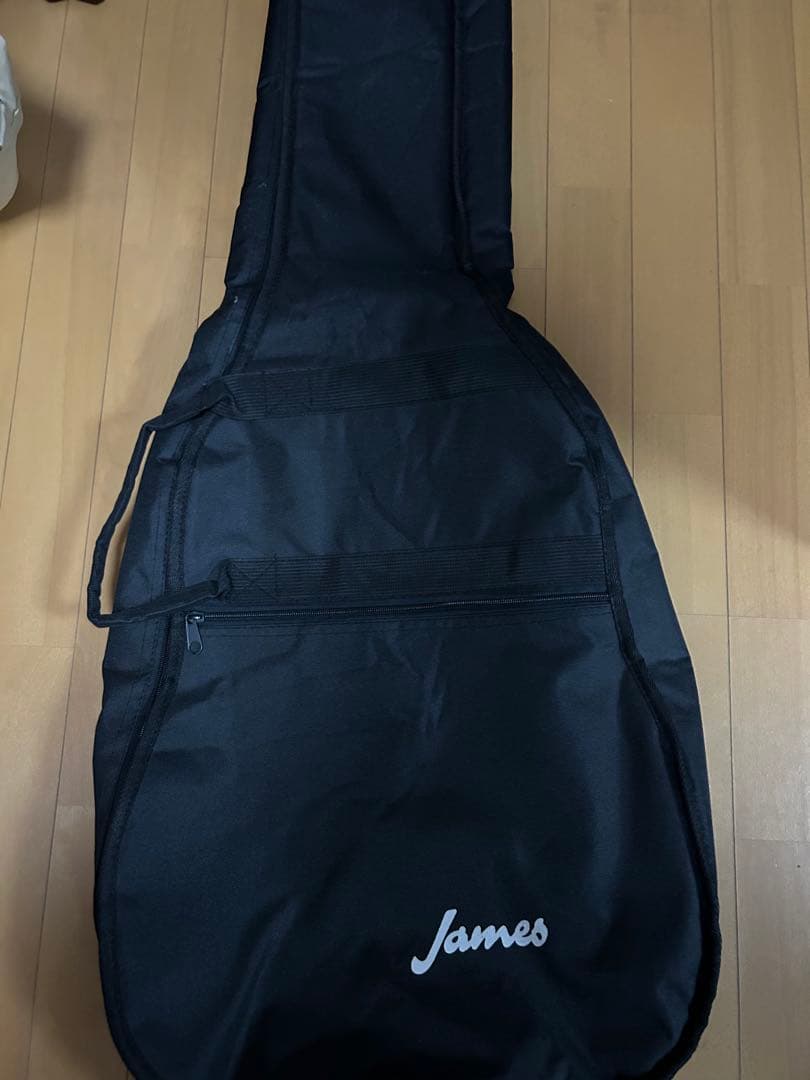 james アコースティックギター 6弦 カッタウェイ