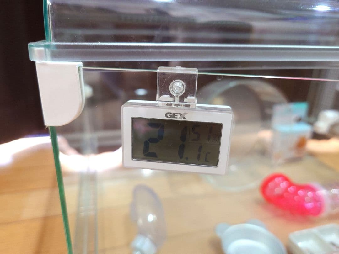 GEX グラスハーモニー 600 小ゲージ300等セット【ハムスター 小動物用】