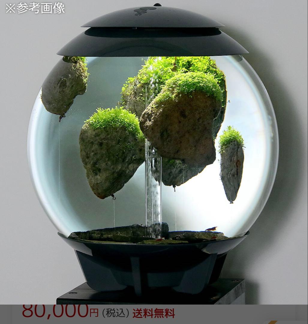 本日限定値下げ‼️biOrb 球形水槽 LEDライト付き 中古