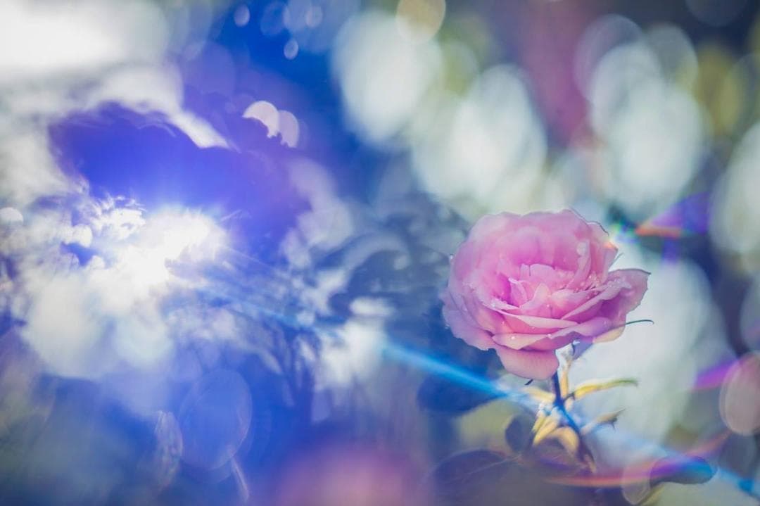 Anamorphic Helios 44M 58mm EFマウント F2