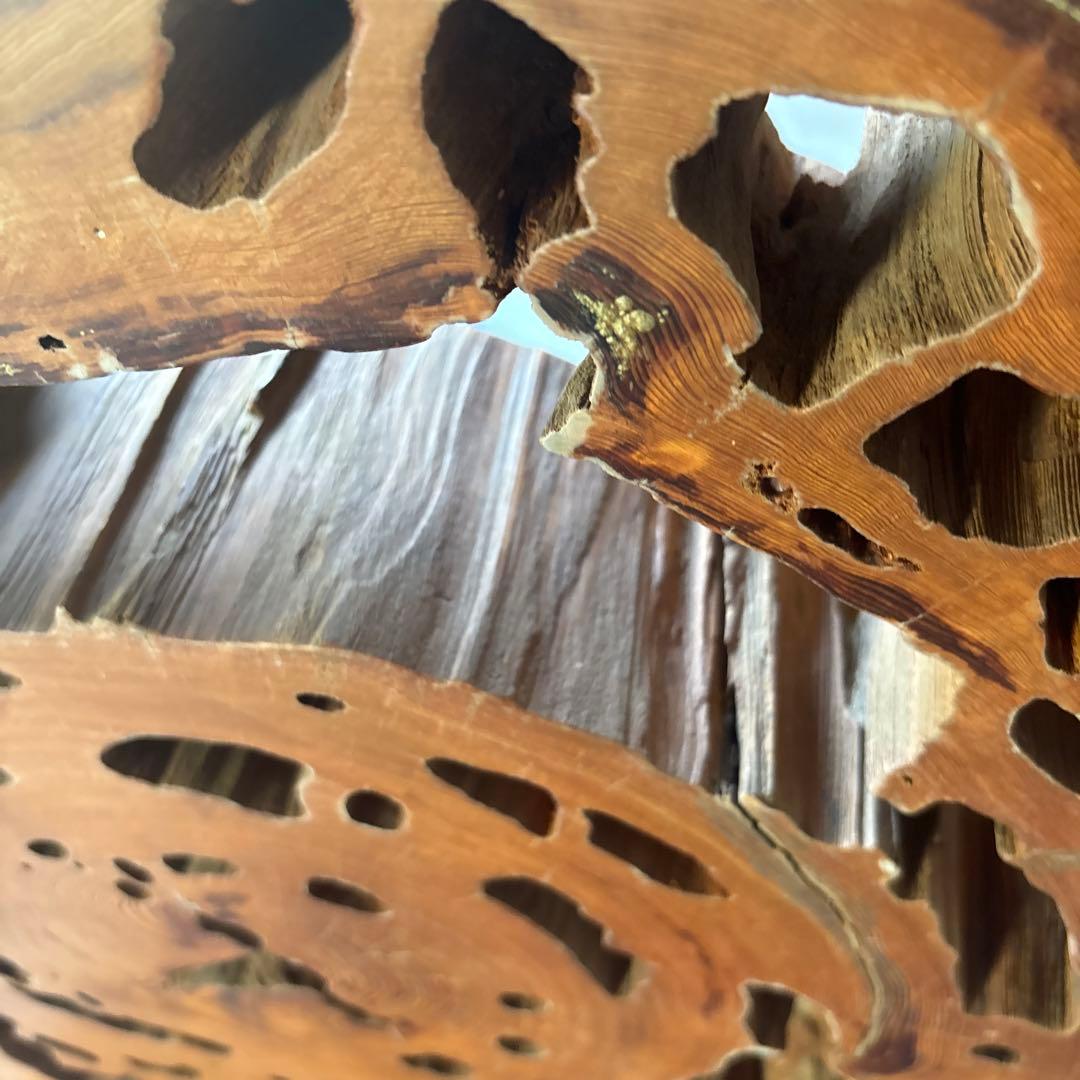 屋久杉輪切り　衝立