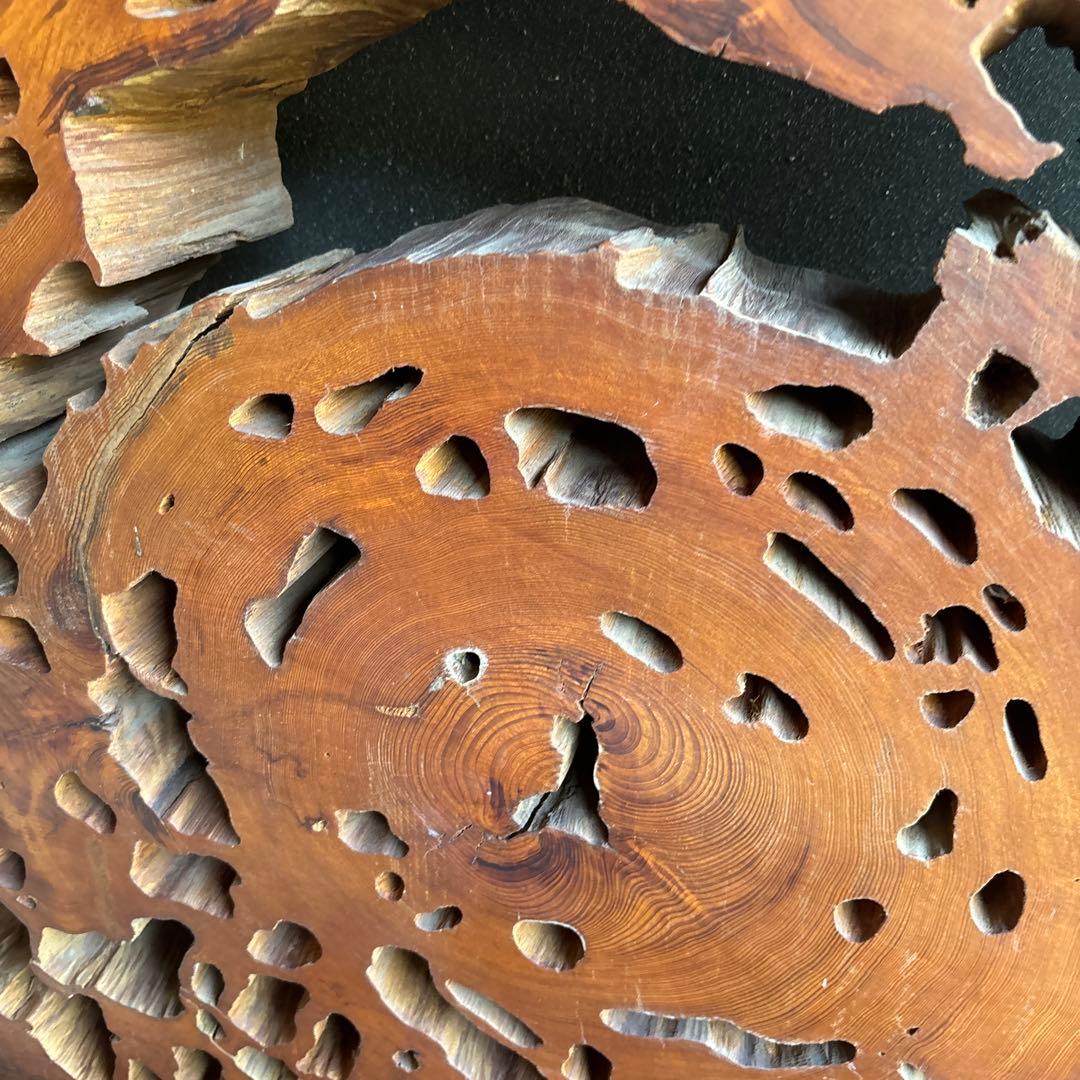 屋久杉輪切り　衝立