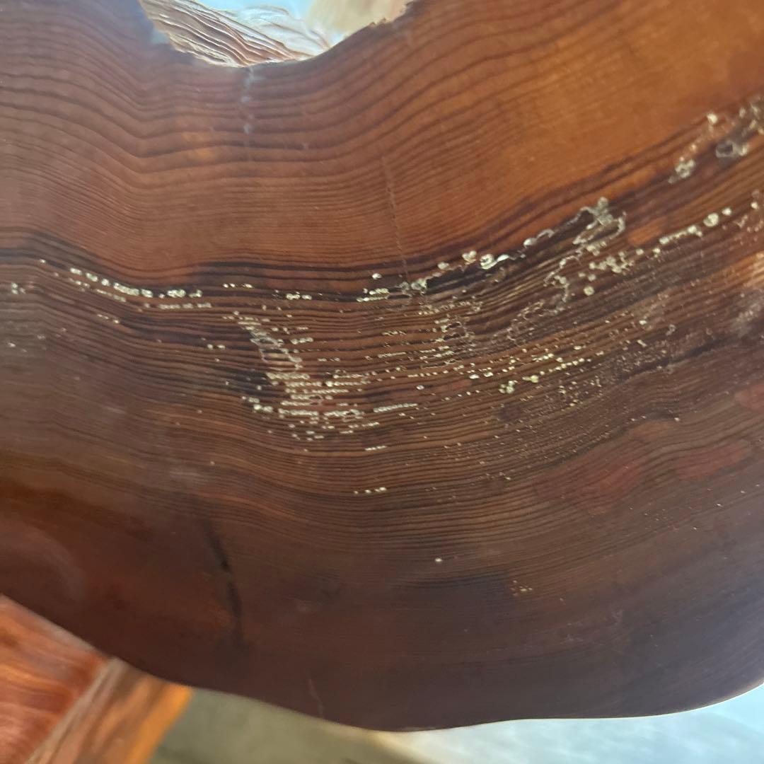 屋久杉輪切り　衝立