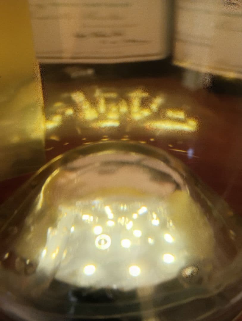 モエ　マグナム　シャンパーニュ