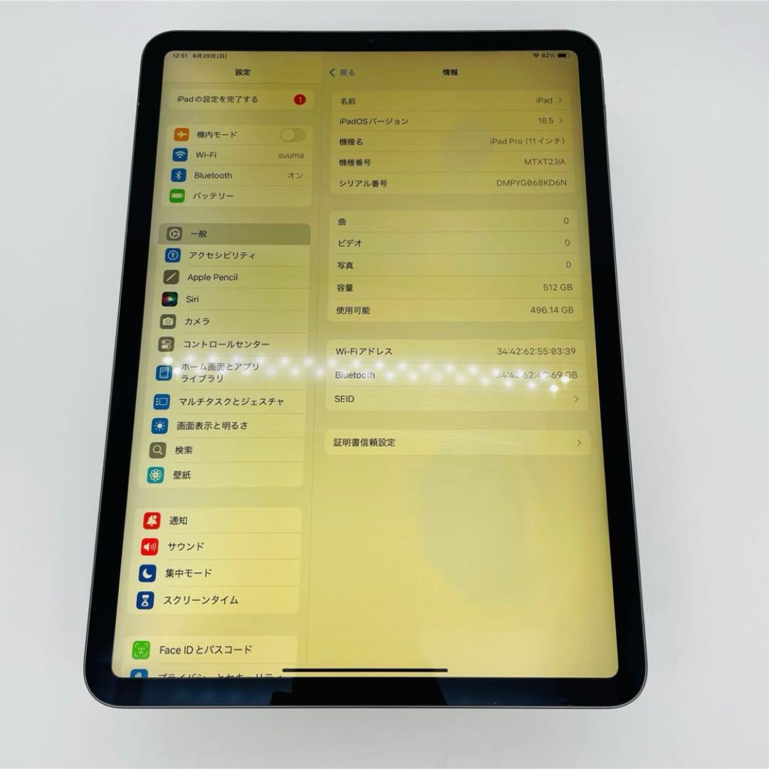 C 91% iPad Pro 第1世代 11インチ 512GB Wi-Fi