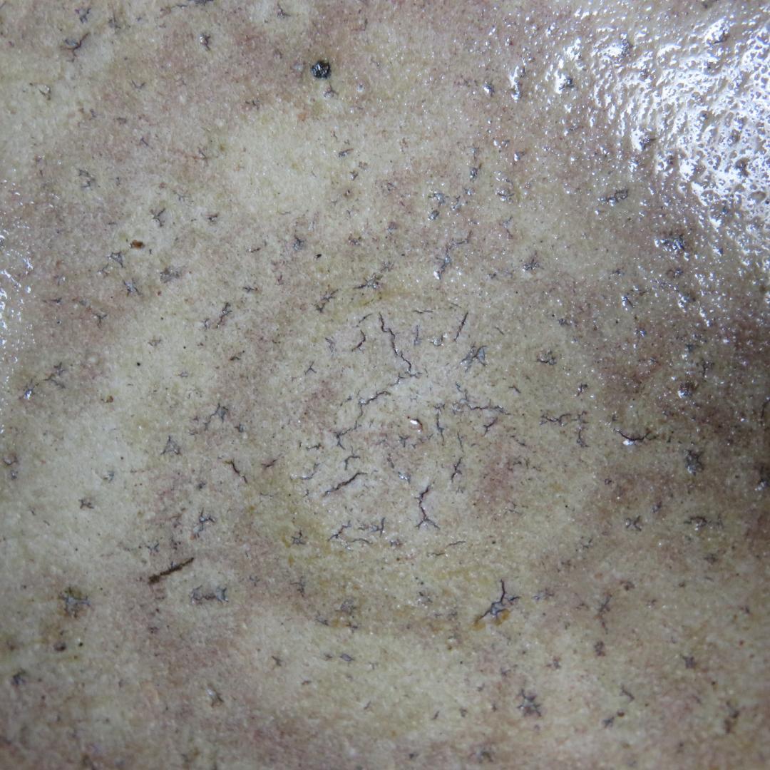 茶碗 萩焼 十三代 新庄寒山 宗家 木箱 共箱 抹茶碗 茶器 茶道具