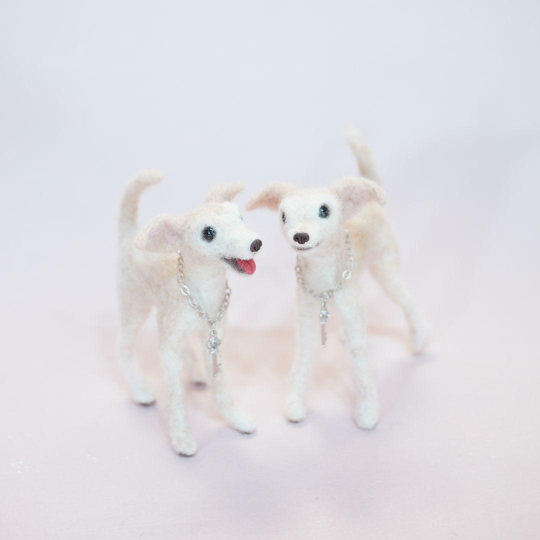 ★専用★　イタグレ　パグ　チワワ　セット