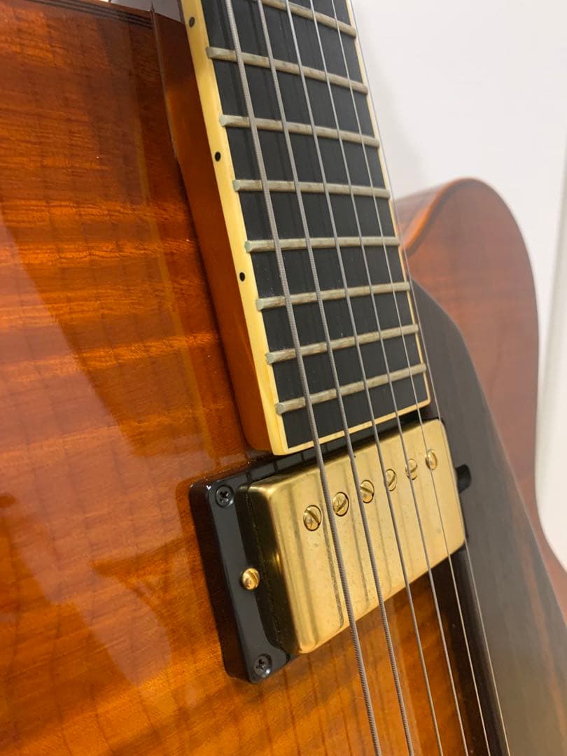 Sadowsky Jim Hall Model 初期型