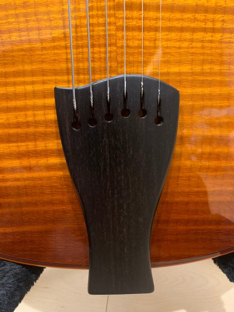 Sadowsky Jim Hall Model 初期型